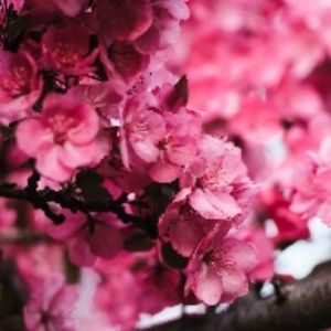 Meet your Posher, Andrey